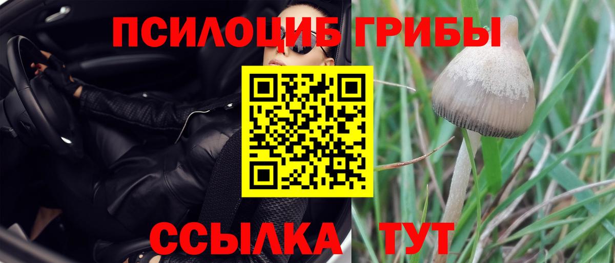 Псилоцибиновые грибы ЛСД Белебей